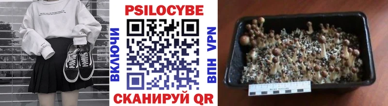 Галлюциногенные грибы Magic Shrooms  дарнет шоп  Ижевск 